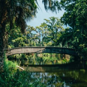 Top Wildlife Sites to Visit Around New Orleans: Explore Louisiana’s Natural Beauty