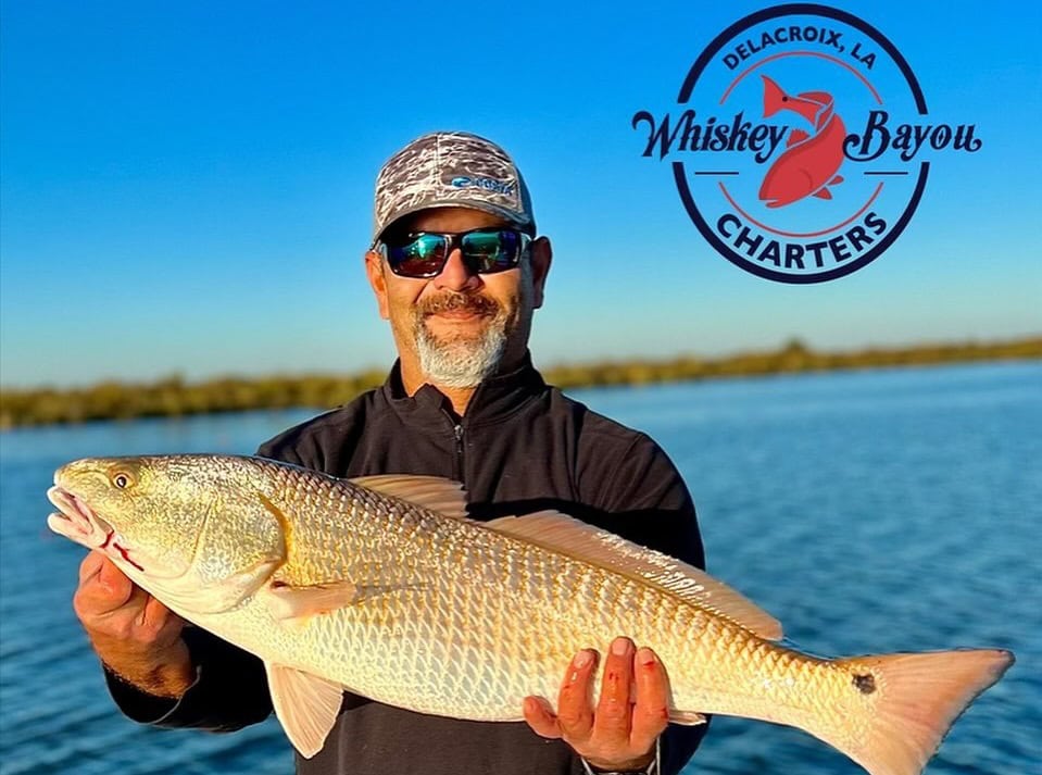 Man holding a redfish while on a fishing charter with Whiskey Bayou Charters.