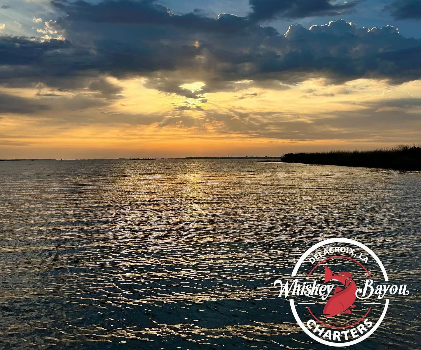 View of the Delacroix Marsh from Whiskey Bayou Charters.