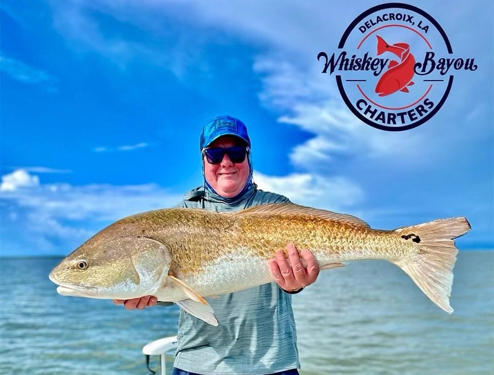 Man holding up a bull redfish he caught while on a fishing charter with Whiskey Bayou Charters in Venice, LA.