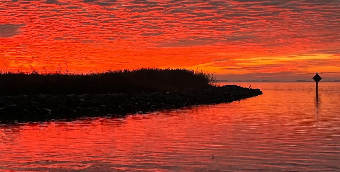 Picture of the Delacroix LA marsh at dawn.