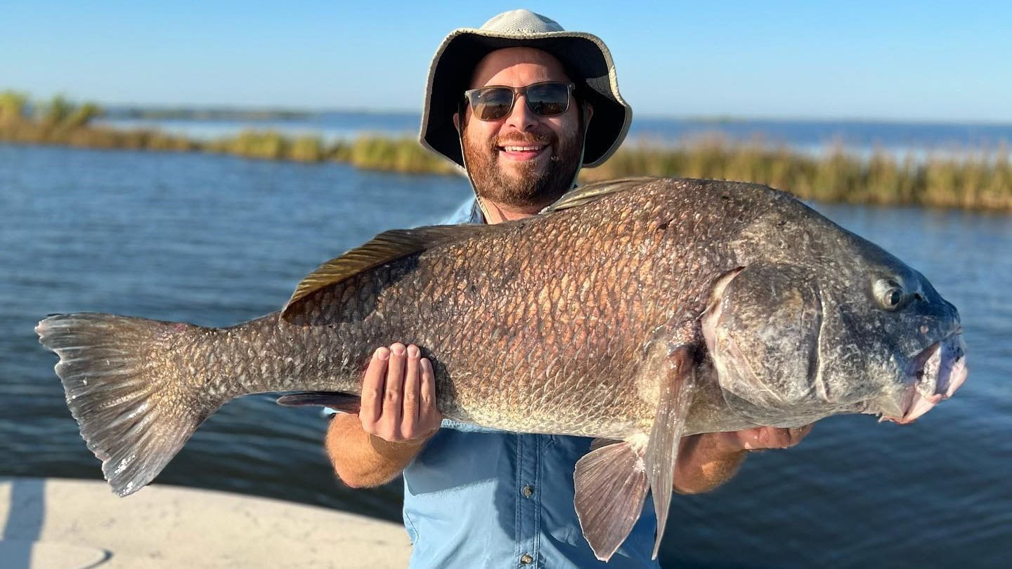 Man holding a big black drum he caught on a fishing charter with Whiskey Bayou Charters in Delacroix, LA.