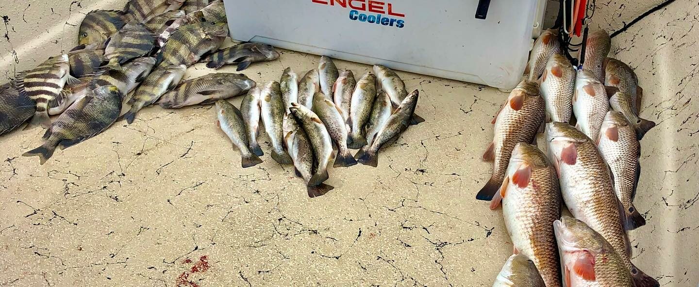 Sheepshead, Redfish, and other fish species laid out on a boat next to a cooler.