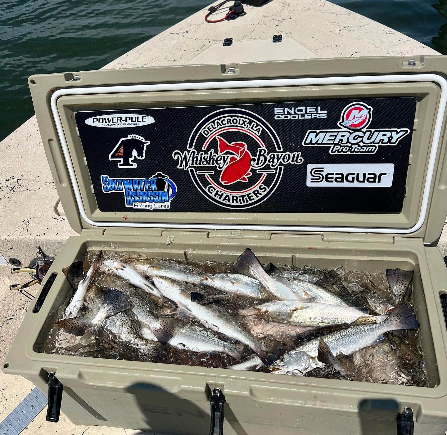 An ice box filled with fish on a fishing charter boat.