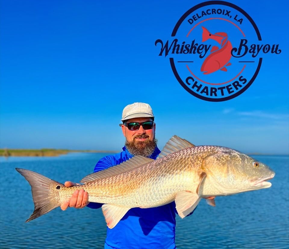 Angler holding a large redfish with a bright blue sky and marsh waters in Delacroix, Louisiana. Whiskey Bayou Charters logo displayed.