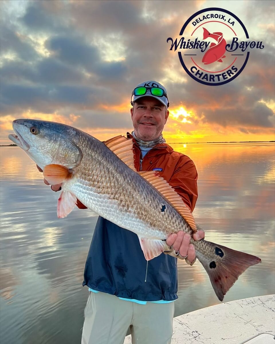 A fisherman holds a large redfish at sunrise on calm waters, with the 'Whiskey Bayou Charters' logo in the background.