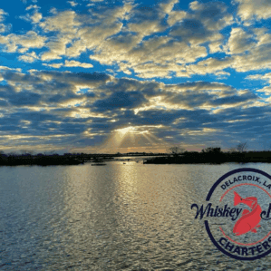 Coastal marsh at sunrise. Scattered white clouds pattern the blue backdrop of the sky. Yellow rays of sunlight streak down from the clouds towards the calm water.