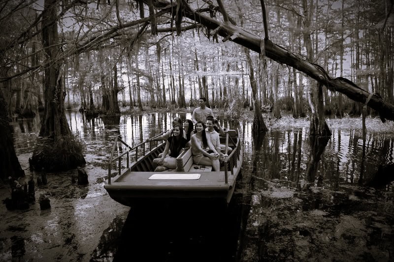 Boat full of people taking a tour through the swamp.