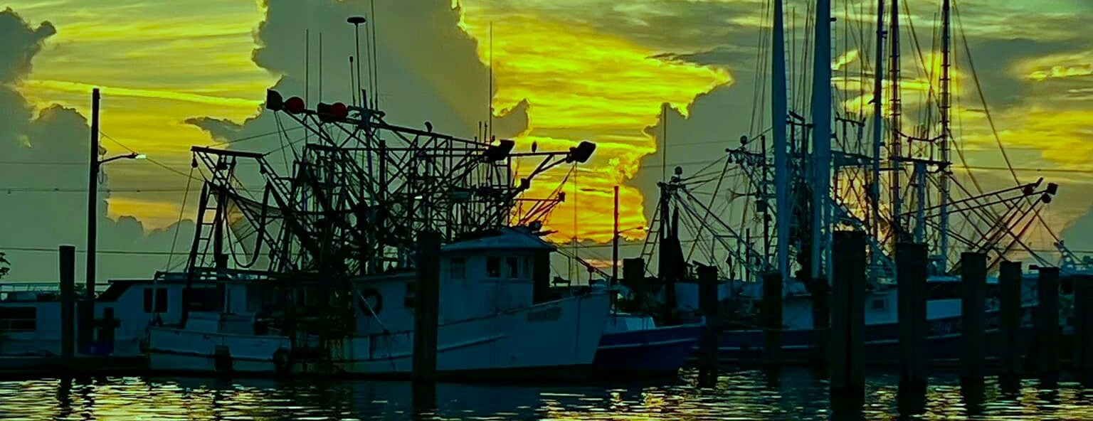 Image of boats docked. The image is edited so the sky and water look sickly green.