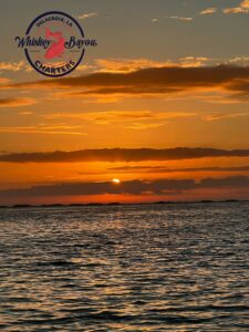 The orange morning Sun rising over the brackish water. 