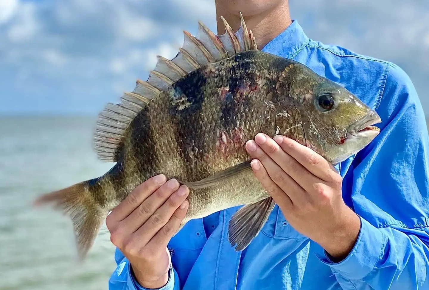 Boy holding a spikey, black striped fish.